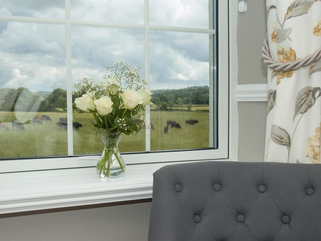 Bed and Breakfast Poole Farm à Launceston Chambre photo